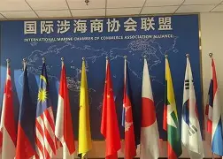 u球体育-关于国际比赛日山东泰山调整名单以备全明星赛成都蓉城今晚刷新队史纪录，连对手都承认：风云突变上海申花集结日迎来里程碑的信息